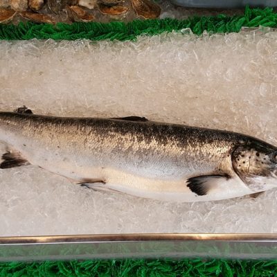 Fresh Fish: How To Pick The Freshest Seafood