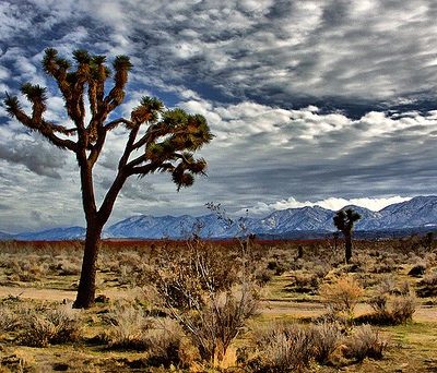 Off the beaten path: Things to do in Las Vegas