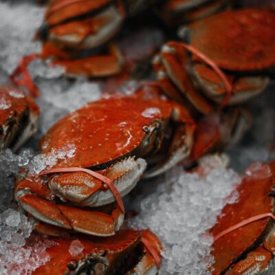 Seafood Nutrition: What You Need to Know